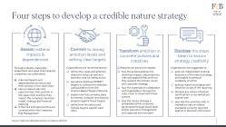 Four steps to develop a credible nature strategy - Finch & Beak.pdf